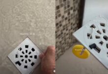 Dica viral: como a pastilha sanitária no ralo do box pode perfumar seu banheiro