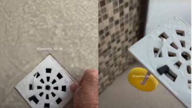 Dica viral: como a pastilha sanitária no ralo do box pode perfumar seu banheiro