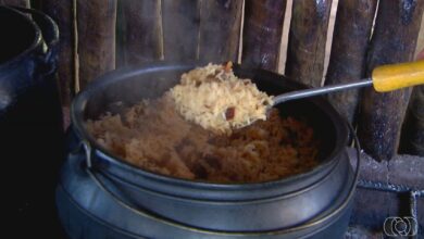 Jornal do Campo desvenda segredos do arroz carreteiro goiano, prato icônico
