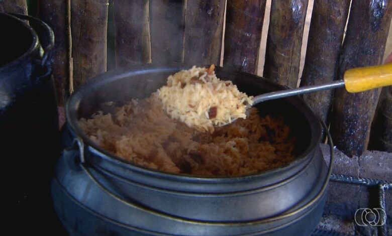 Jornal do Campo desvenda segredos do arroz carreteiro goiano, prato icônico