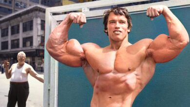 Arnold Schwarzenegger ensina que sucesso exige esforço constante e ação prática