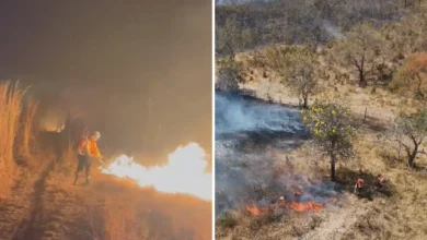 Incêndio de grandes proporções ameaça o Parque Estadual da Serra Dourada em Goiás