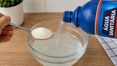 Mistura de água sanitária com açúcar viraliza na internet para remoção de mofo