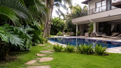 Plantas de novela: como cultivar espécies que transformam o ambiente doméstico