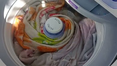 Tanquinho ou máquina de lavar: como escolher o equipamento ideal para preservar suas roupas