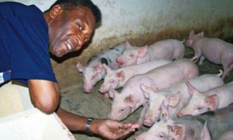A vida longe dos gramados: o refúgio de Pelé em sua vasta fazenda no interior de São Paulo