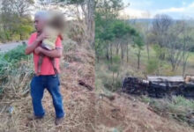 Acidente devastador na Go-210: três mortes e uma criança de dois anos resgatada com vida