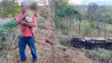 Acidente devastador na Go-210: três mortes e uma criança de dois anos resgatada com vida