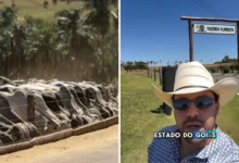 Agrônomo revela fazenda de gado modelo em Goiás com impressionante rebanho de 20 mil cabeças