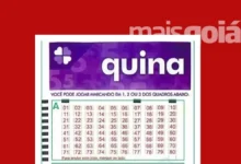 Aposta feita em Goiânia fatura prêmio na quadra da Quina 7107