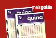 Apostas de Goiás garantem premiação na Quina concurso 7117