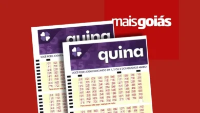 Apostas de Goiás garantem premiação na Quina concurso 7117
