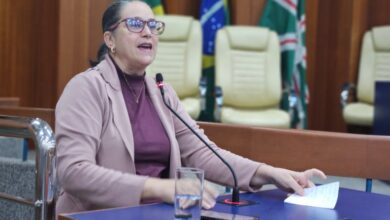 Câmara de Goiânia aprova campanha de proteção a idosos contra golpes digitais