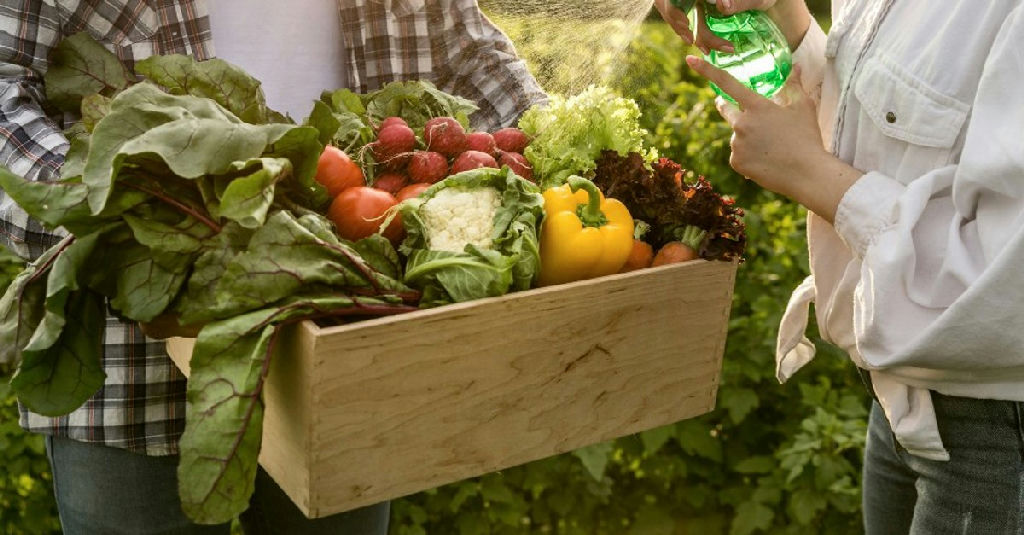 Câmara dos Deputados dá aval ao projeto que institui a Política Nacional de Agroecologia e Orgânicos
