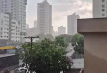Chuva e vento intenso em Goiás surpreendem população e provocam quedas de árvores