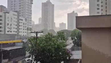 Chuva e vento intenso em Goiás surpreendem população e provocam quedas de árvores