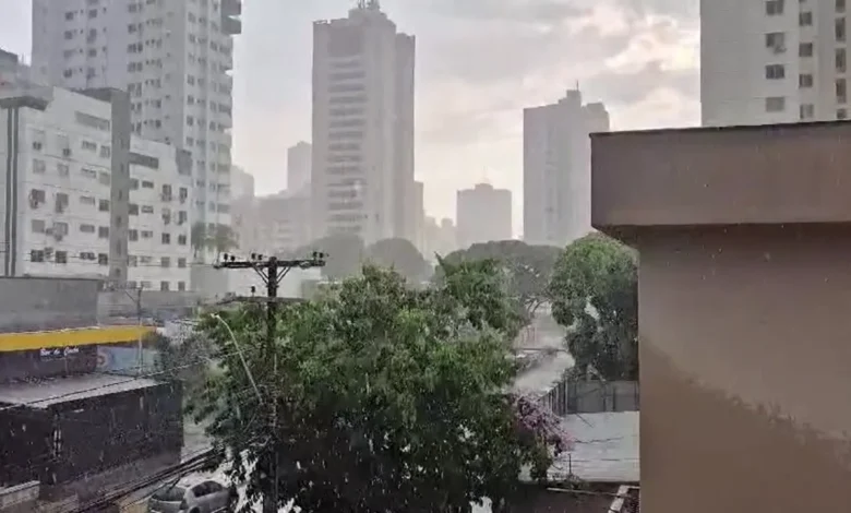 Chuva e vento intenso em Goiás surpreendem população e provocam quedas de árvores