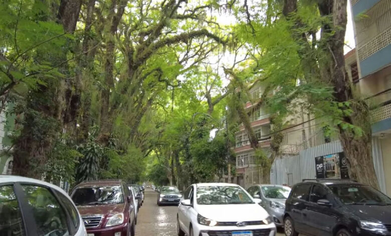 Conheça a rua brasileira que abriga um túnel verde de 156 árvores