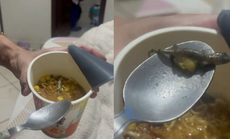 Consumidora será indenizada após encontrar lagartixa em macarrão instantâneo em Goiás