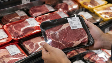 Cores das bandejas de carne nos supermercados: entenda o que elas realmente indicam