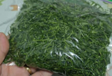 Couve fresca por mais tempo: o método que garante folhas verdes na geladeira