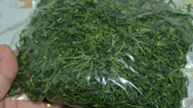 Couve fresca por mais tempo: o método que garante folhas verdes na geladeira