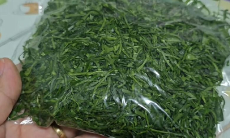 Couve fresca por mais tempo: o método que garante folhas verdes na geladeira
