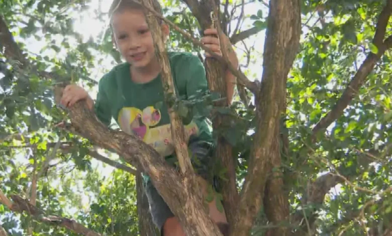 Criança de 6 anos mobiliza buscas em Goiânia e é encontrada dormindo em árvore