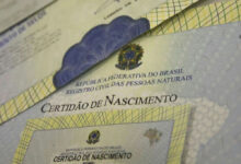 Data de nascimento influencia a inteligência? Entenda o que diz a ciência