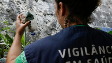 Dengue em São Paulo: estado registra quase 60 mil casos e dezenas de mortes