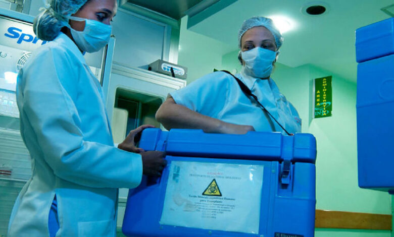 Desafio nacional: 45% das famílias recusam doação de órgãos e impactam transplantes