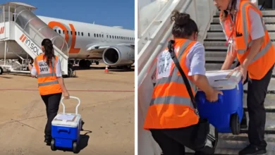 Doação de órgãos de bebê de 29 dias em Goiás: um gesto de amor que mobiliza a saúde