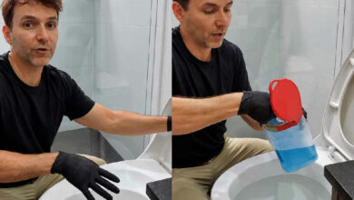 Engenheiro químico revela método técnico para higienização correta do vaso sanitário
