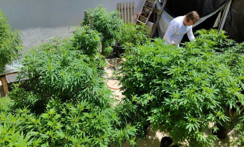 Especialistas debatem justiça social e saúde pública em evento sobre políticas de drogas em Fortaleza