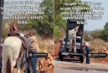 Estudante goiana viraliza ao realizar manejo de cavalo sozinha em reboque