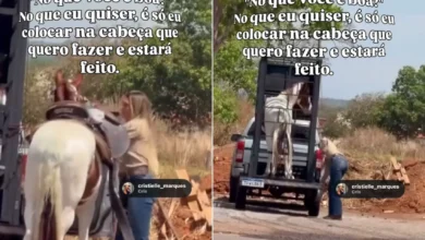 Estudante goiana viraliza ao realizar manejo de cavalo sozinha em reboque