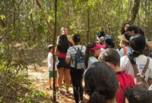 Estudantes com autismo exploram biodiversidade do Cerrado em parque de Goiás