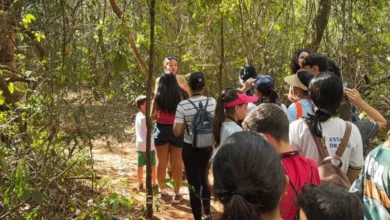 Estudantes com autismo exploram biodiversidade do Cerrado em parque de Goiás
