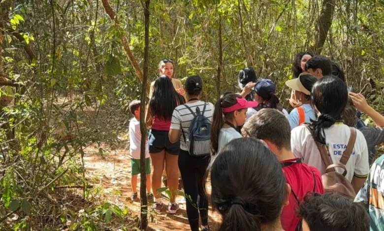 Estudantes com autismo exploram biodiversidade do Cerrado em parque de Goiás