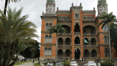 Fiocruz anuncia os 42 projetos finalistas da 13ª Olimpíada de Saúde e Meio Ambiente