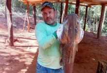Gerente de fazenda morre após disparo acidental durante caçada em Goiás