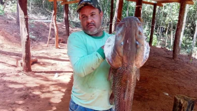 Gerente de fazenda morre após disparo acidental durante caçada em Goiás