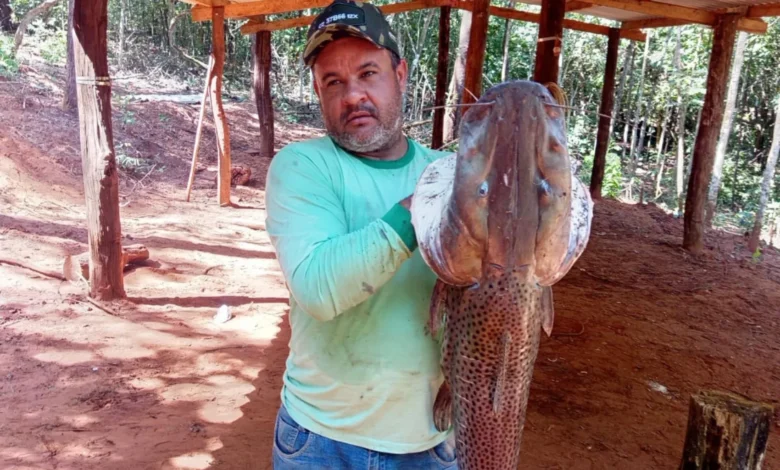 Gerente de fazenda morre após disparo acidental durante caçada em Goiás