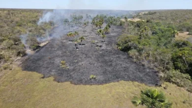 Goiás registra queda de 27% em áreas atingidas por incêndios florestais