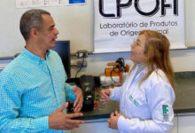 IF Goiano patenteia tempero em tablete natural à base de açafrão sem gordura ou corantes