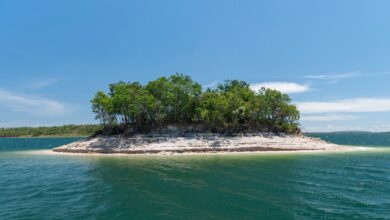 Ilha do amor em Goiás atrai turistas com águas cristalinas no Lago Corumbá IV