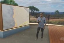 Incêndios em lavouras geram alerta e ameaçam safra futura em Goiás