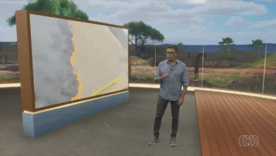 Incêndios em lavouras geram alerta e ameaçam safra futura em Goiás