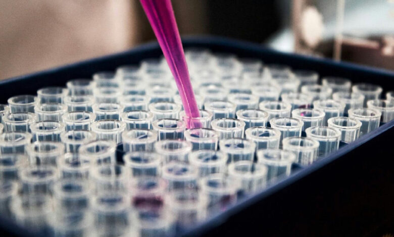 Justiça anula doação de imóvel após exame de DNA revelar ausência de vínculo biológico