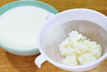 Kefir: o alimento milenar que ganha destaque na restauração da flora intestinal